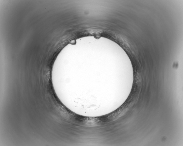 X0000093770321200711131217