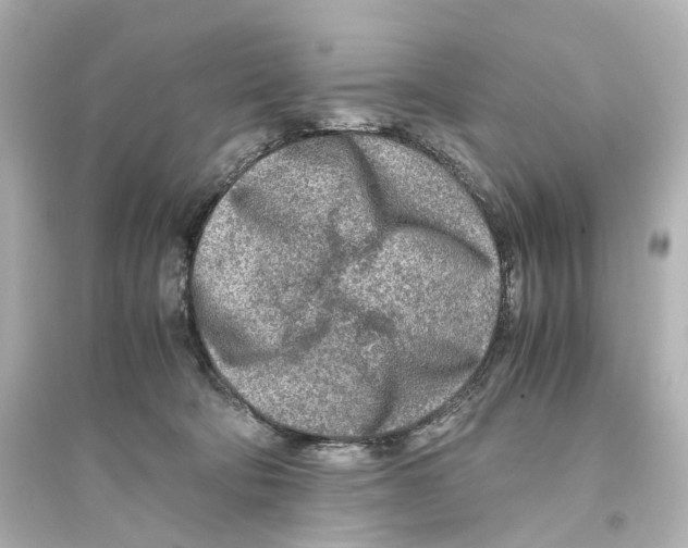 X0000093770322200711131217