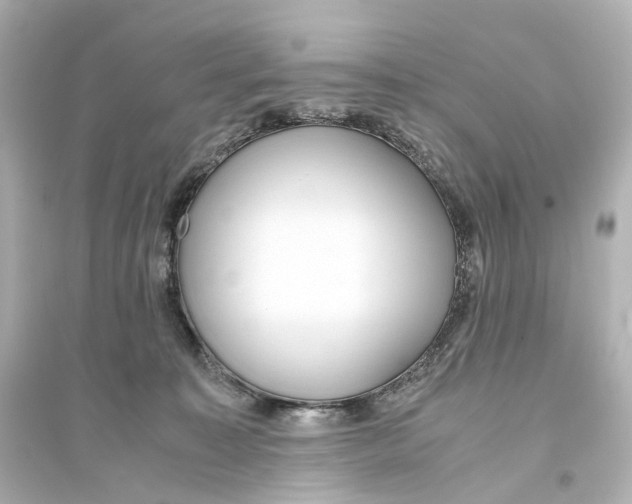 X0000093770323200711131217