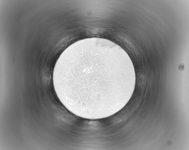 X0000093770324200711131217