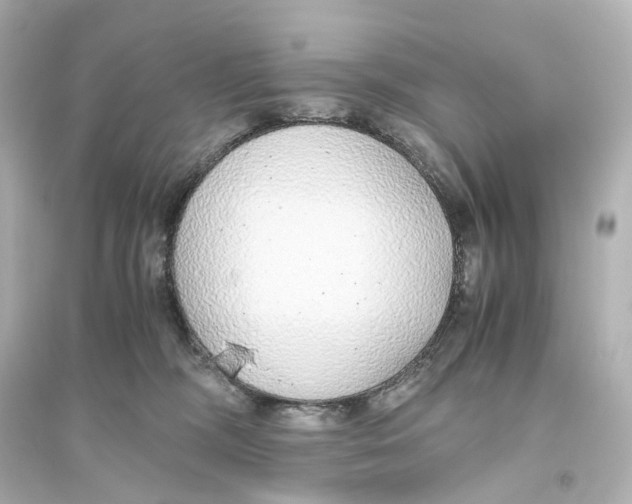 X0000093770326200711131217