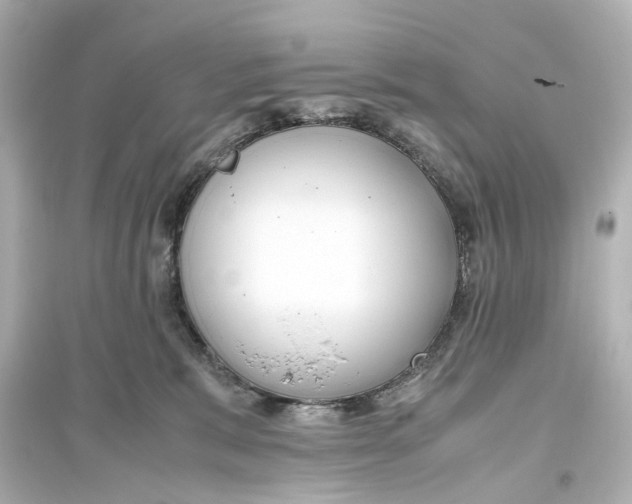 X0000093770327200711131217