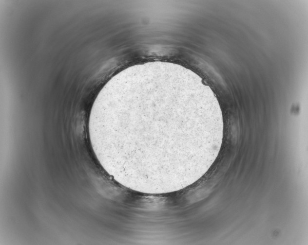 X0000093770328200711131217