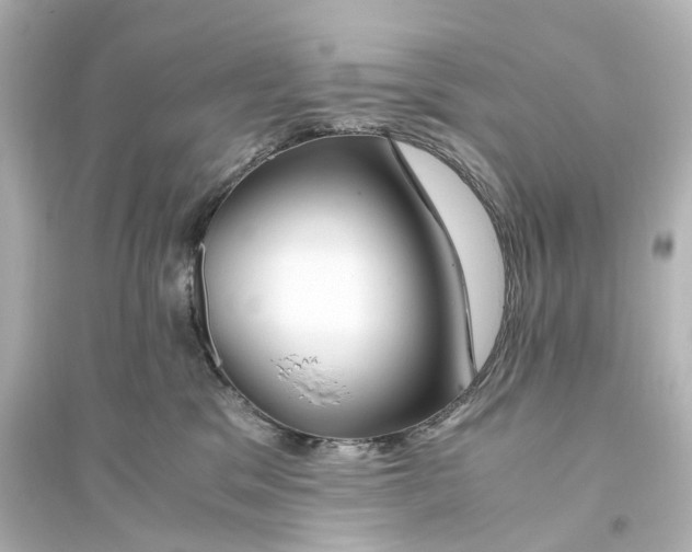 X0000093770329200711131217