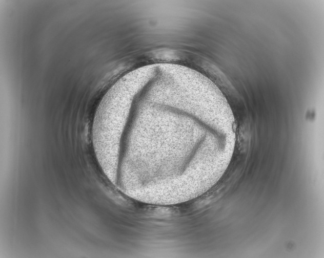 X0000093770330200711131217