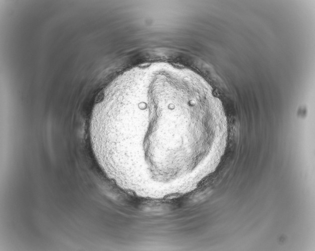 X0000093770331200711131217