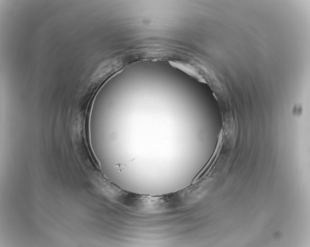 X0000093770333200711131217