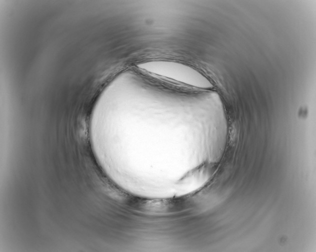 X0000093770335200711131217