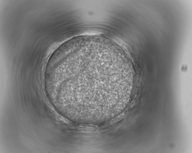 X0000093770337200711131216