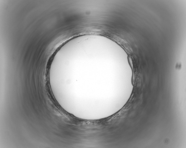 X0000093770338200711131216