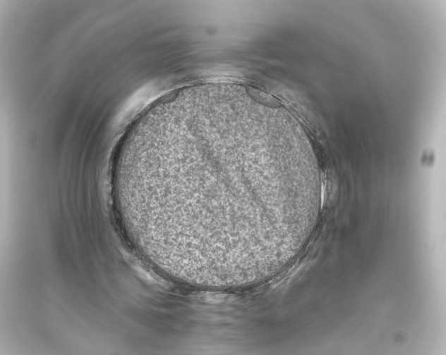 X0000093770339200711131216