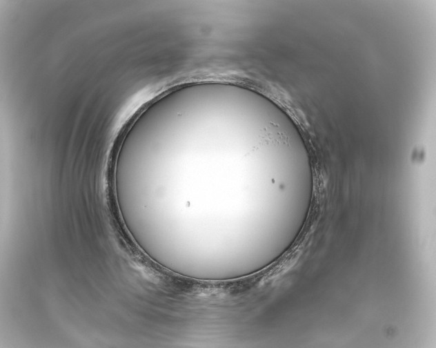 X0000093770340200711131216