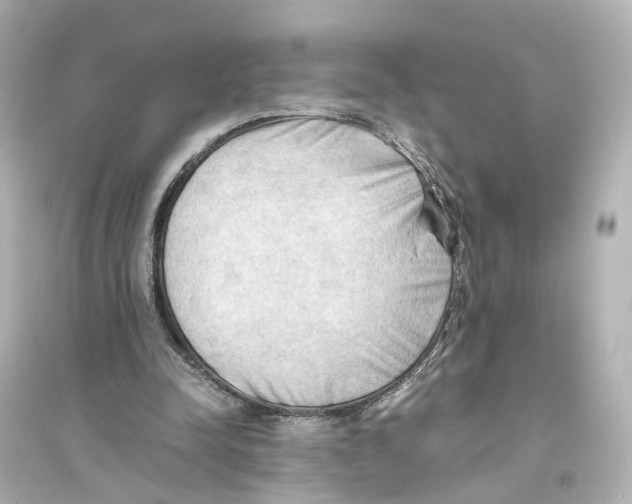 X0000093770342200711131216