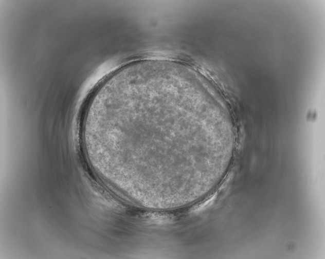 X0000093770343200711131216