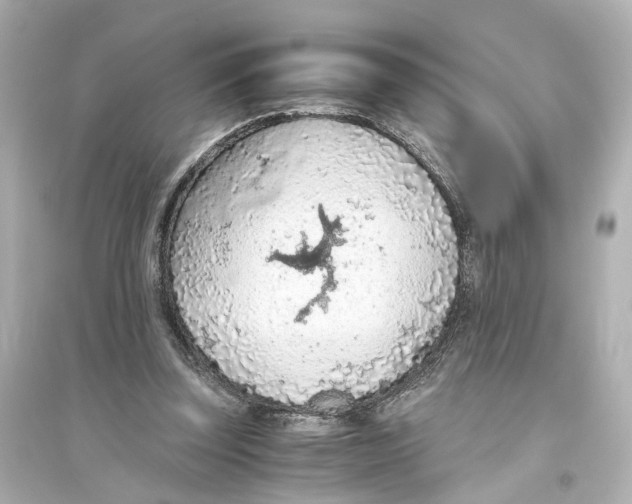 X0000093770347200711131216