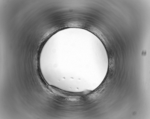 X0000093770349200711131217