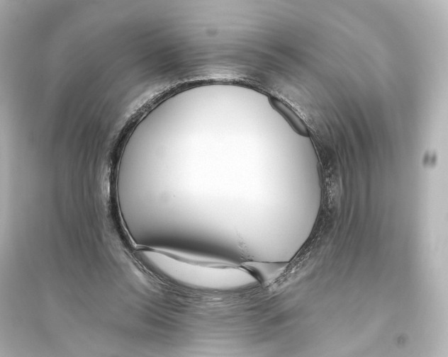 X0000093770350200711131217