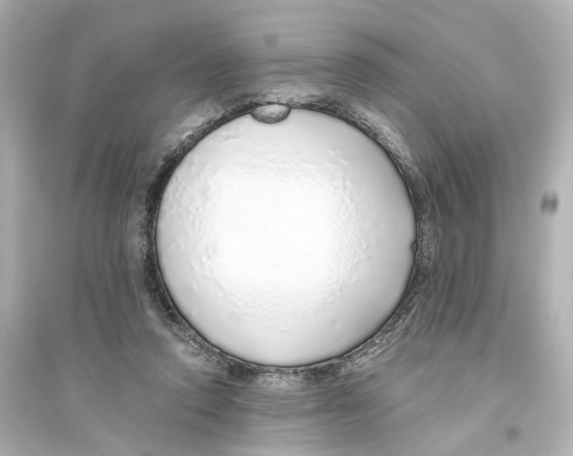 X0000093770354200711131217