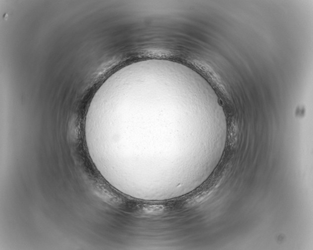 X0000093770355200711131217