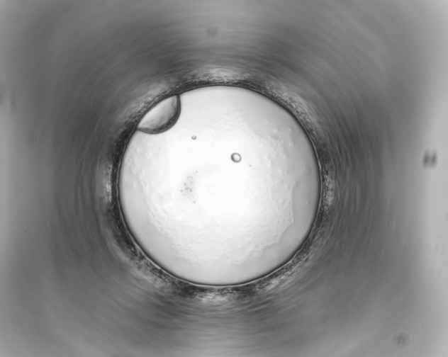 X0000093770358200711131217