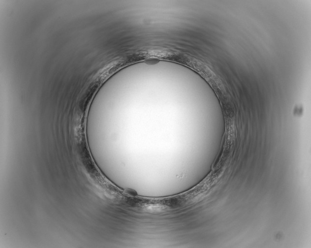 X0000093770360200711131217