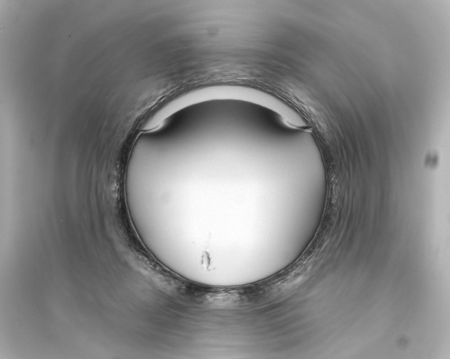 X0000093770362200711131217