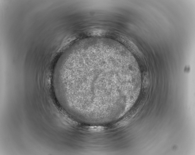 X0000093770363200711131217