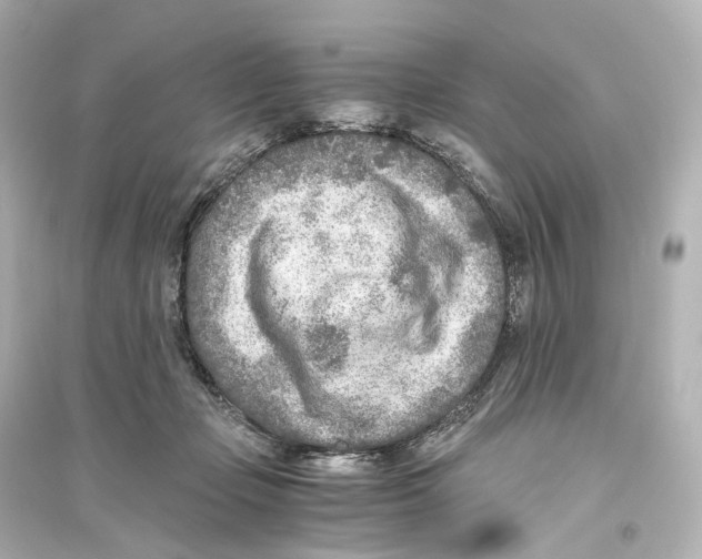 X0000093770365200711131217