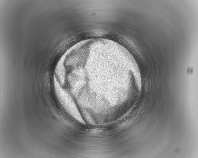 X0000093770366200711131217