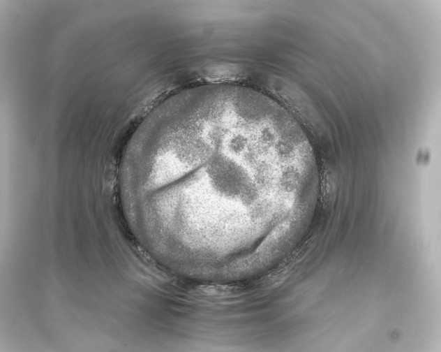 X0000093770367200711131217