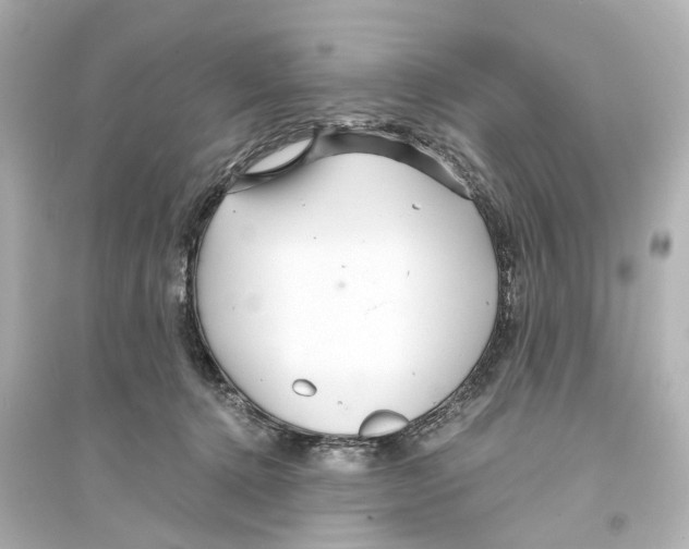 X0000093770368200711131217