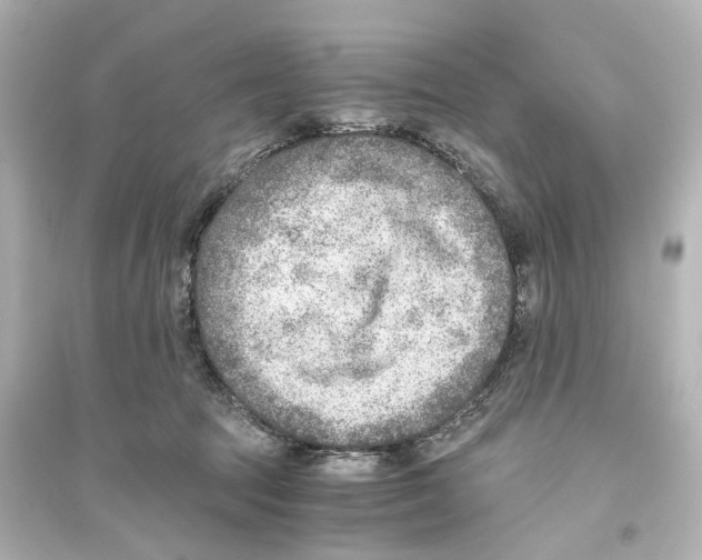 X0000093770369200711131217