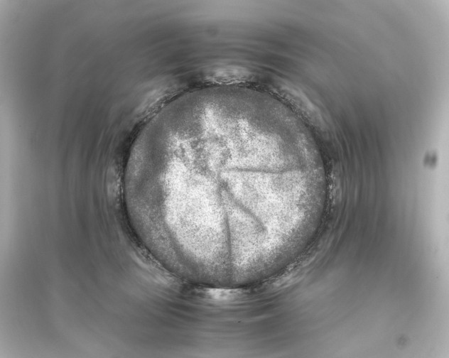 X0000093770371200711131217