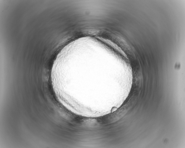 X0000093770374200711131217