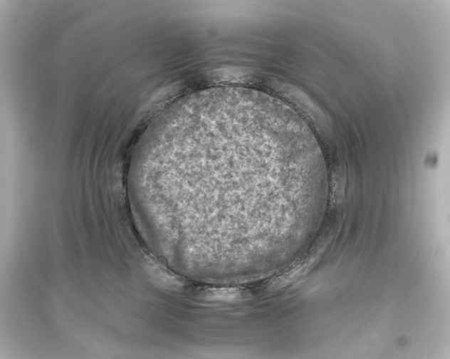 X0000093770377200711131217