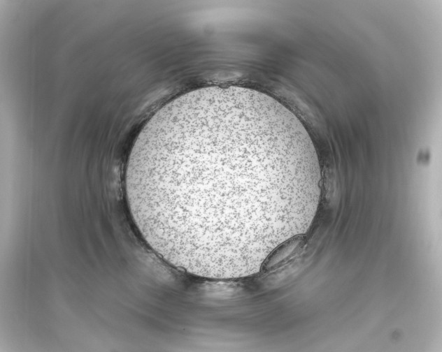 X0000093770378200711131217