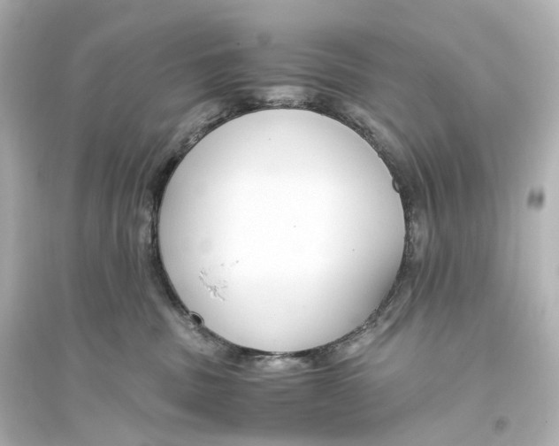 X0000093770379200711131217