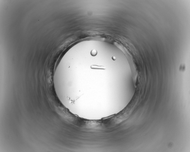 X0000093770380200711131217