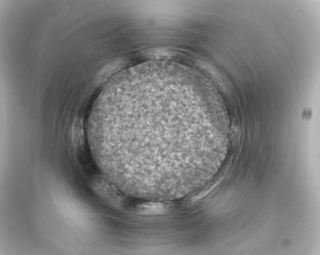 X0000093770381200711131217