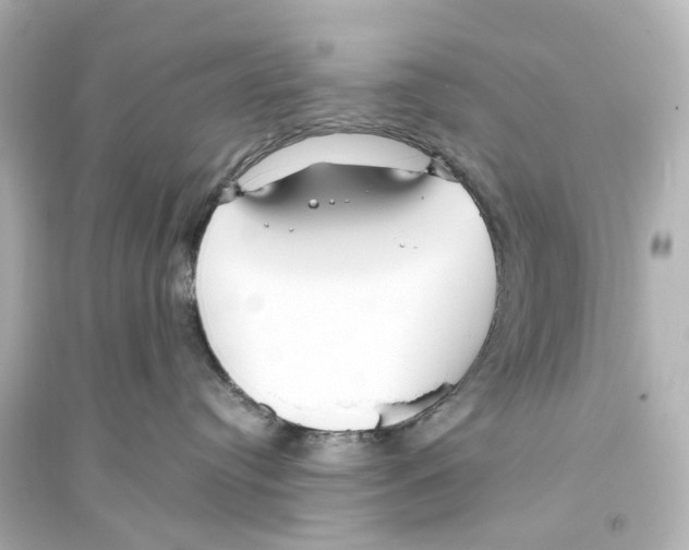 X0000093770384200711131217