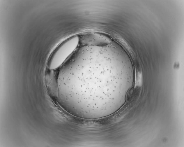 X0000093770387200711131216