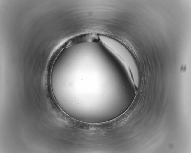 X0000093770388200711131216