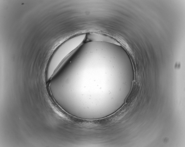 X0000093770389200711131216