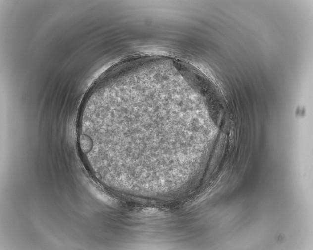 X0000093770390200711131216