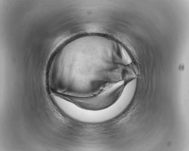 X0000093770391200711131216