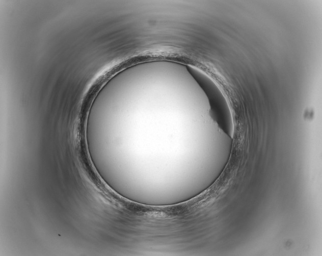 X0000093770392200711131216