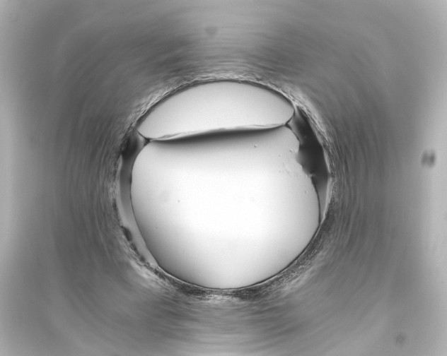 X0000093770393200711131216