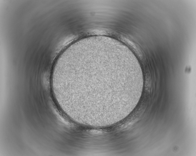 X0000093770394200711131216