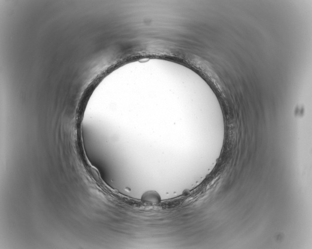 X0000093770395200711131216