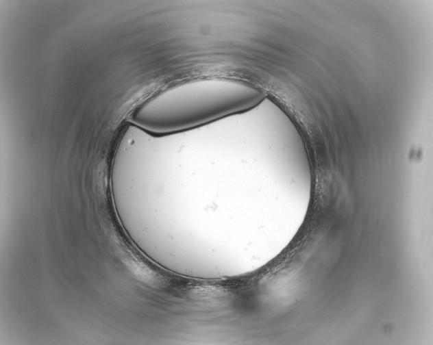 X0000093770397200711131216